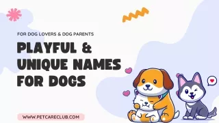 Unique & Playful names for dogs