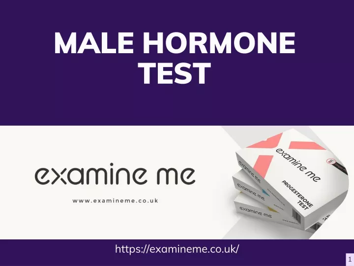male hormone test
