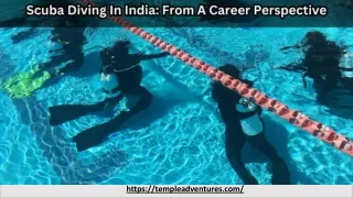 Scuba Diving In India: From A Career Perspective: templeadventur