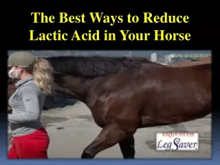 The Best Ways to Reduce Lactic Acid in Your Horse