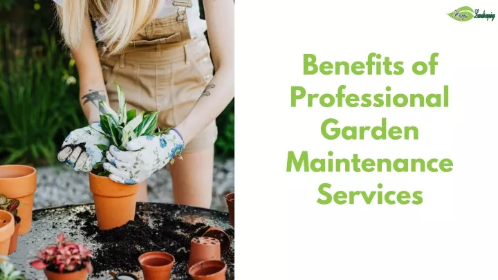 benefits of professional garden maintenance