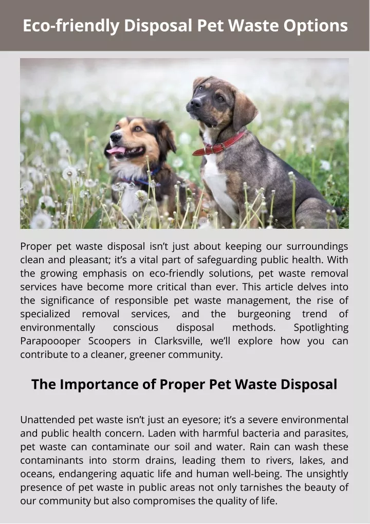 eco friendly disposal pet waste options