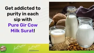 Get addicted to purity in each sip with Pure Gir Cow Milk Surat!