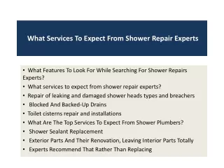 What Services To Expect From Shower Repairs Experts