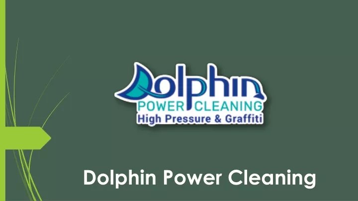 dolphin power cleaning