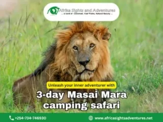Masai Mara Safari-An Opportunity To Unwind & Celebrate Your Leisure Time