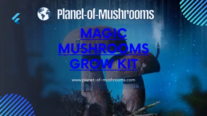 magic mushrooms grow kit