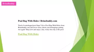 Pool Bag With Holes  Brinebuddy.com