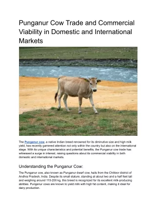 Punganur Cow Trade and Commercial Viability in Domestic and International Markets