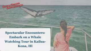 Spectacular Encounters Embark on a Whale Watching Tour in Kailua-Kona, HI