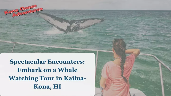 spectacular encounters embark on a whale watching