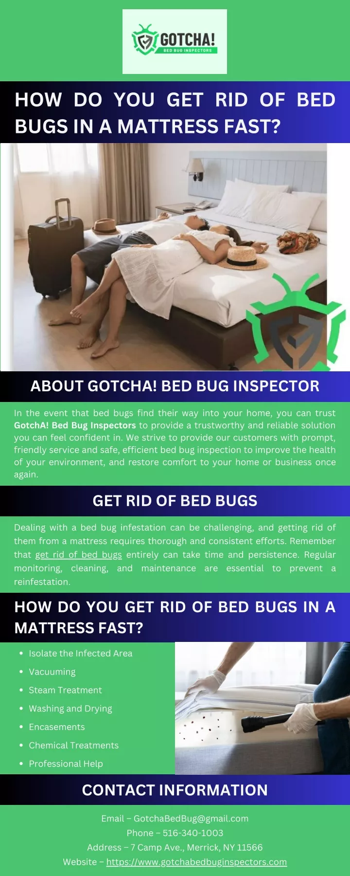 how do you get rid of bed bugs in a mattress fast