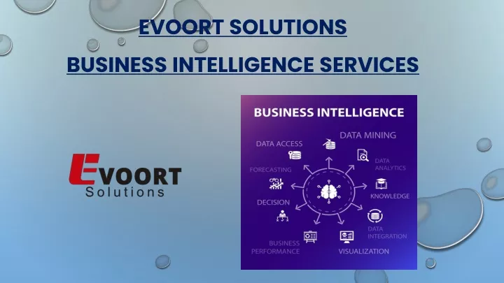 evoort solutions business intelligence services