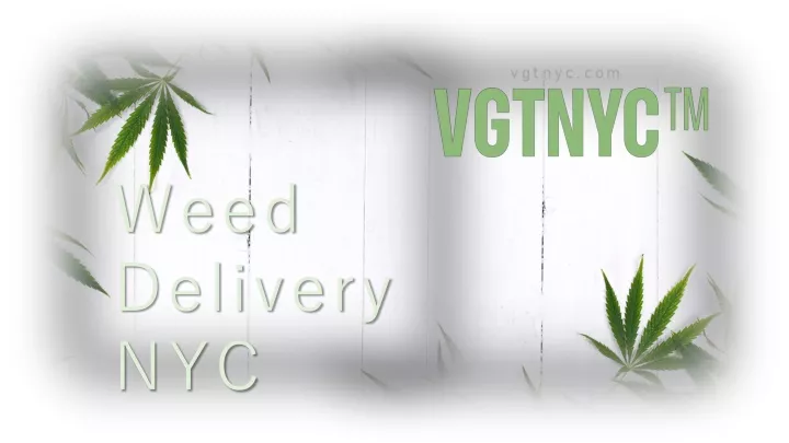 vgtnyc com