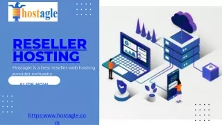 Reseller Hosting