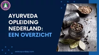 Opleiding Ayurveda Therapeut | Ayurveda Opleiding Nederland | Ayurdaay