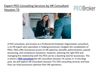 Expert PEO Consulting Services by HR Consultant Houston TX