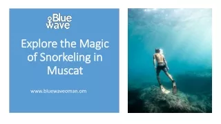 Discover Snorkeling in Muscat with Bluewave | Embrace Underwater Adventure