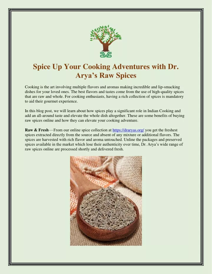 spice up your cooking adventures with dr arya
