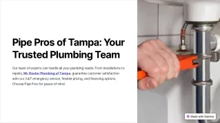 Pipe Pros of Tampa: Your Trusted Plumbing Team