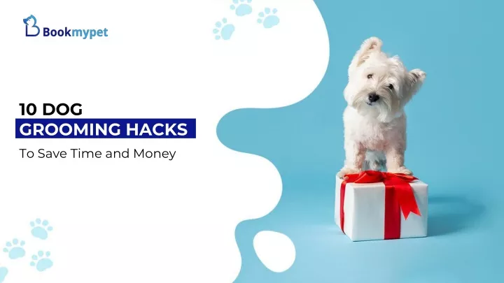 10 dog grooming hacks