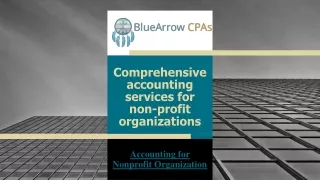 Comprehensive accounting services for non-profit organizations