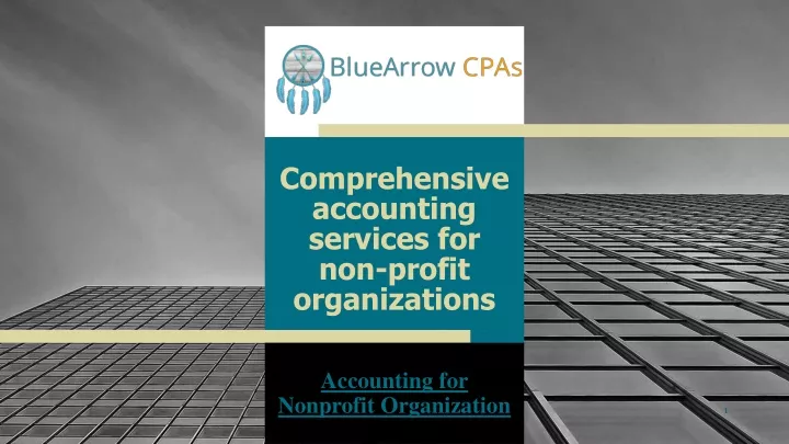 comprehensive accounting services for non profit organizations