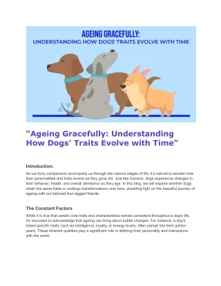 ageing gracefully understanding how dogs traits
