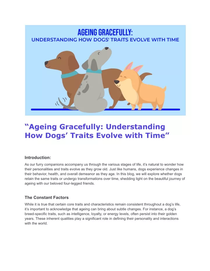ageing gracefully understanding how dogs traits
