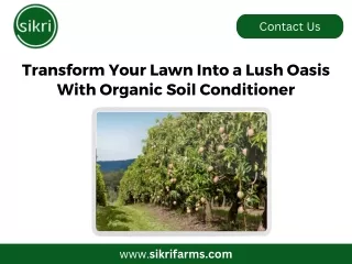 Transform Your Lawn Into a Lush Oasis With Organic Soil Conditioner