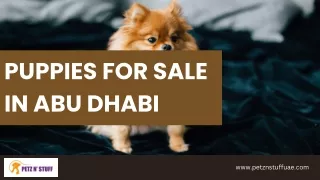 puppies for sale in Abu Dhabi