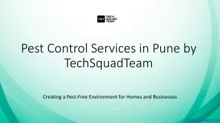 Pest Control Services in Pune