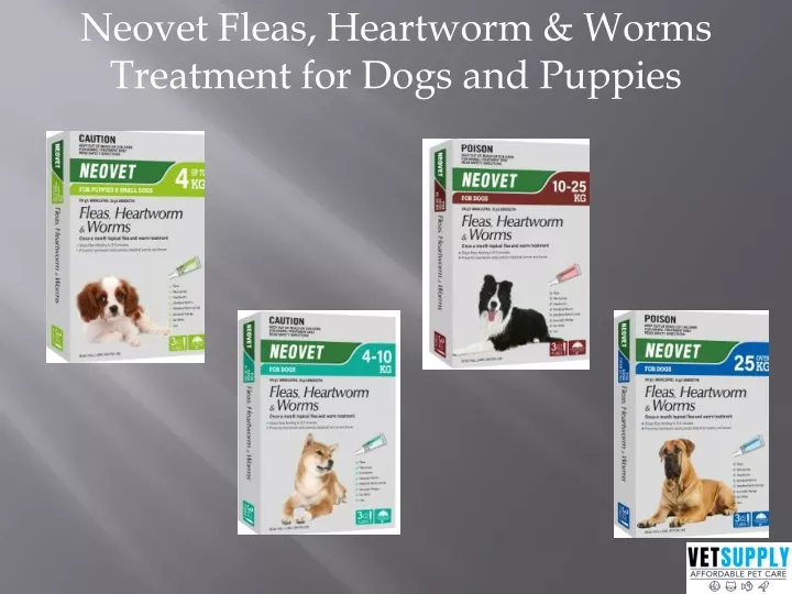 neovet fleas heartworm worms treatment for dogs