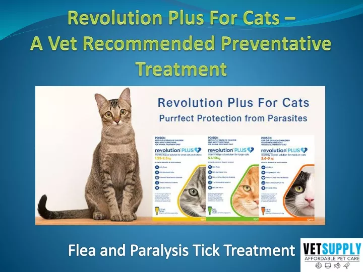 revolution plus for cats a vet recommended preventative treatment
