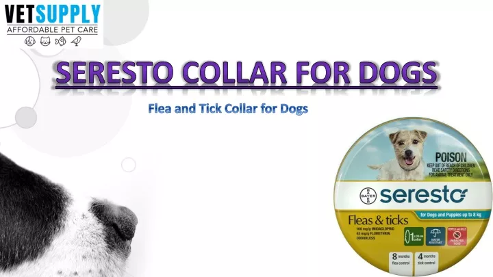 seresto collar for dogs