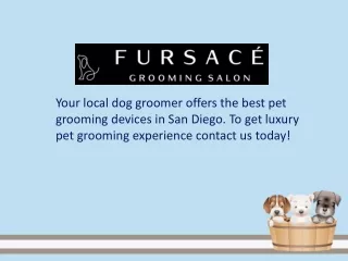 Dog Groomers San Diego