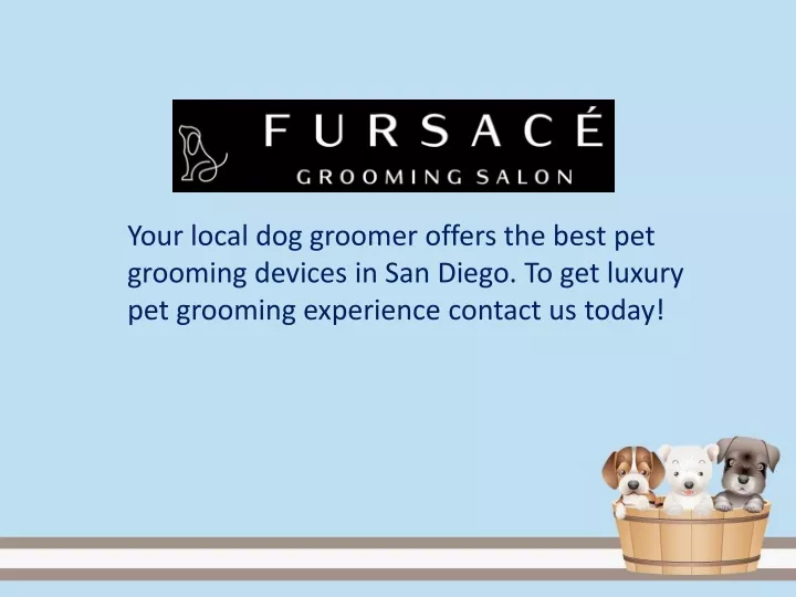 your local dog groomer offers the best