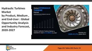 Hydraulic Turbines Market ​