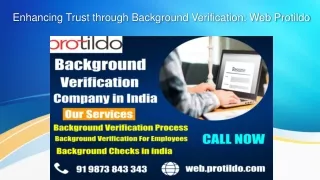 Enhancing Trust through Background Verification Web Protildo