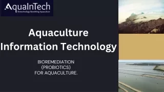 Elevate Shrimp Health With Aqua Probiotics: Natural Solutions