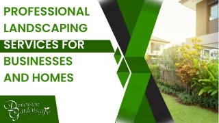 Professional landscaping services for businesses and homes