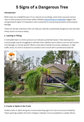 5 signs of a dangerous tree