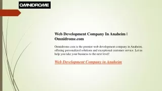 web development company in anaheim omnidrome