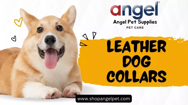angel pet supplies pet care