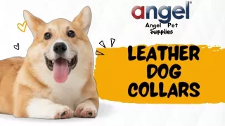 Genuine Leather Dog Collars by Angel Pet Supplies