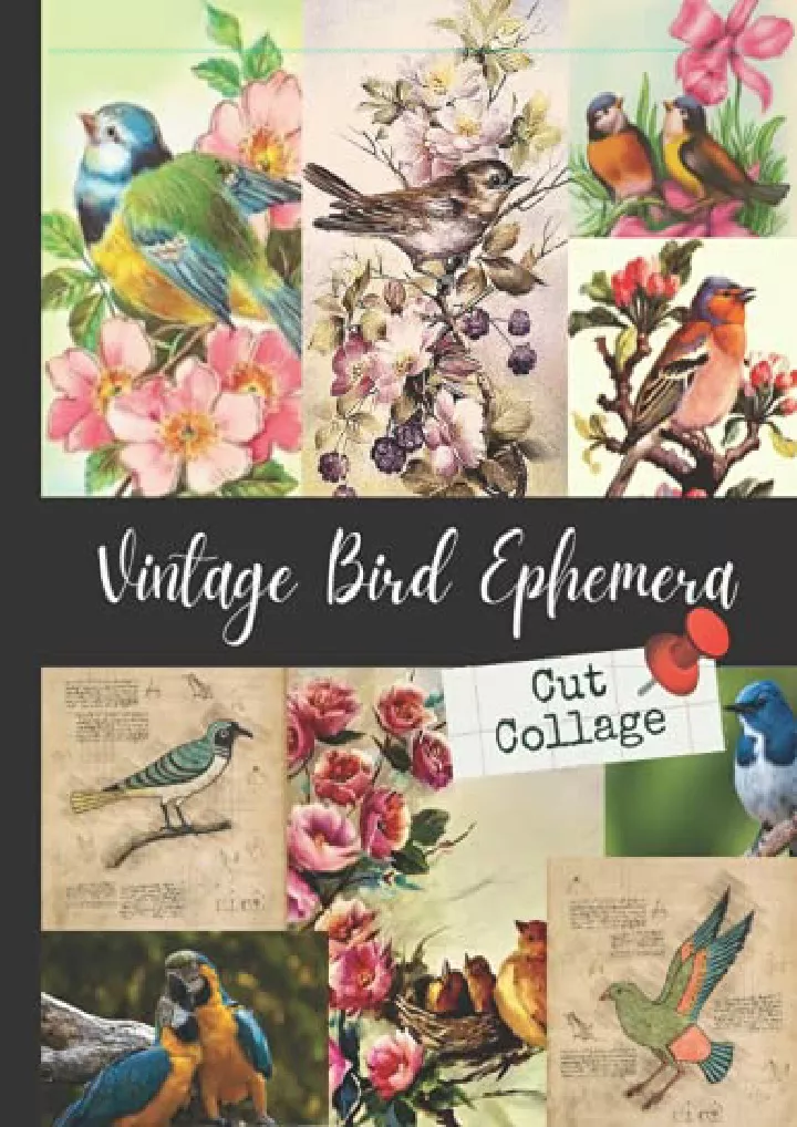 vintage bird ephemera cut collage 24 sheets