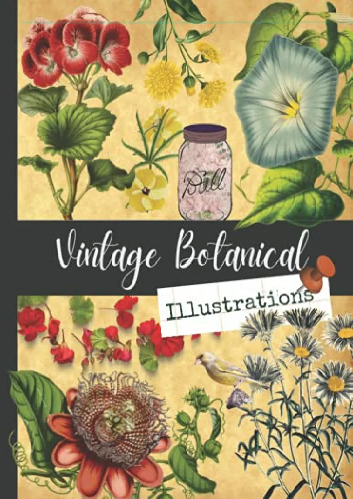 vintage botanical illustrations one sided