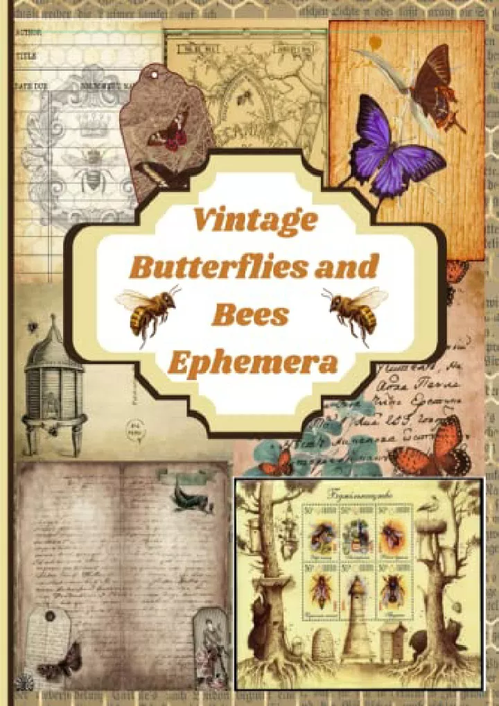 vintage butterflies and bees ephemera collection