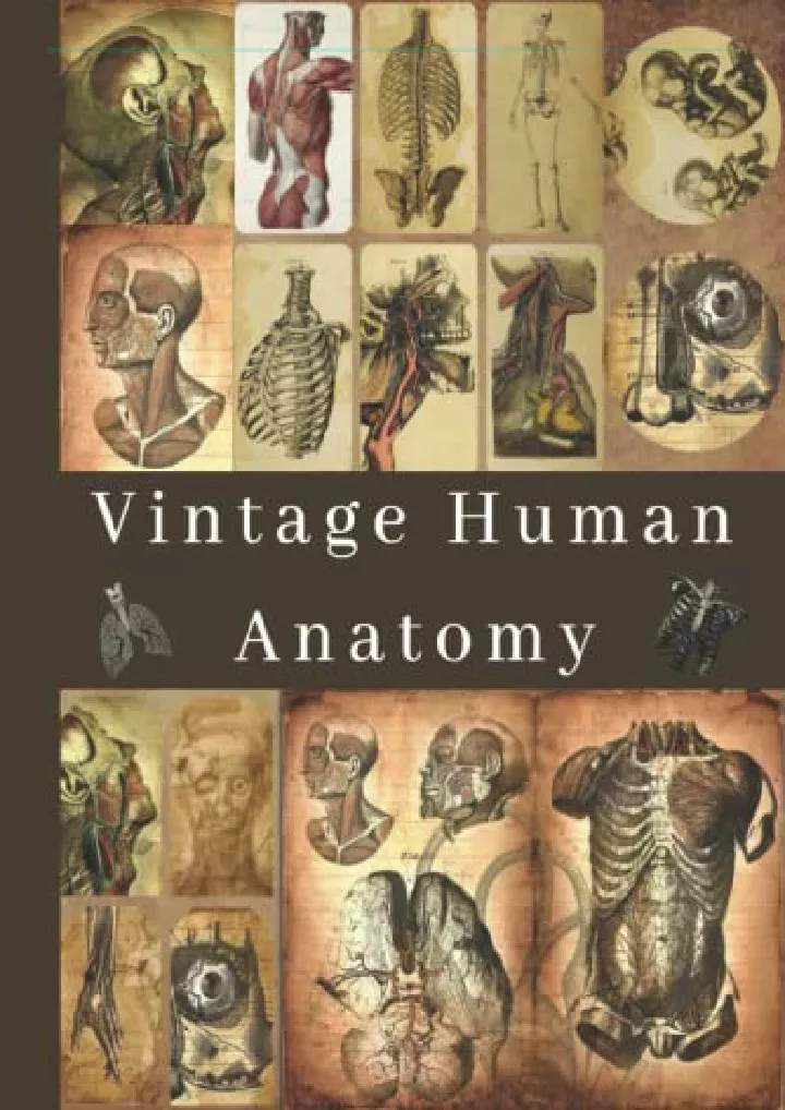 vintage human anatomy 124 images medical book