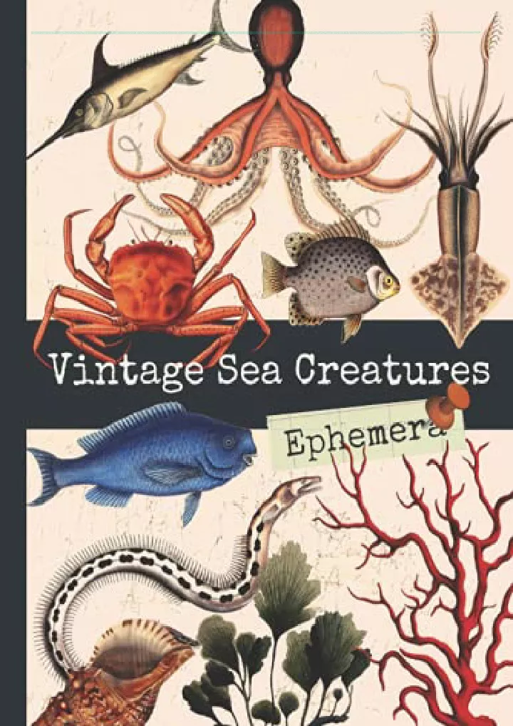 vintage sea creatures ephemera one sided
